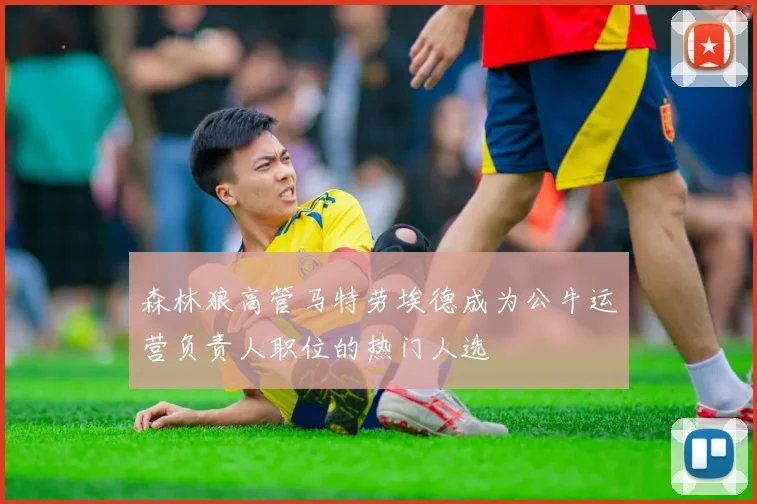 森林狼高管马特劳埃德成为公牛运营负责人职位的热门人选